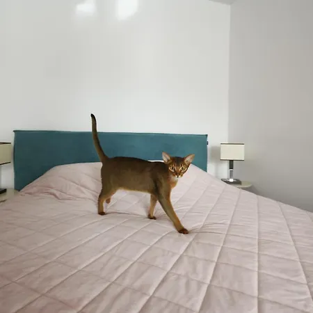 Apartament Aqua Druskieniki